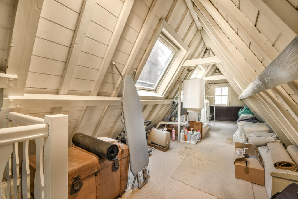 attic cleaning