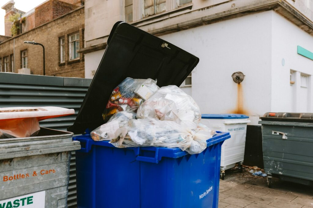 Dumpster Rental