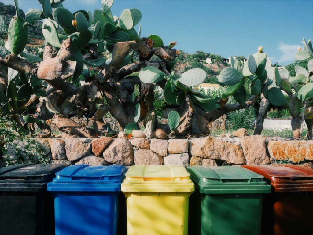 Dumpster Rental