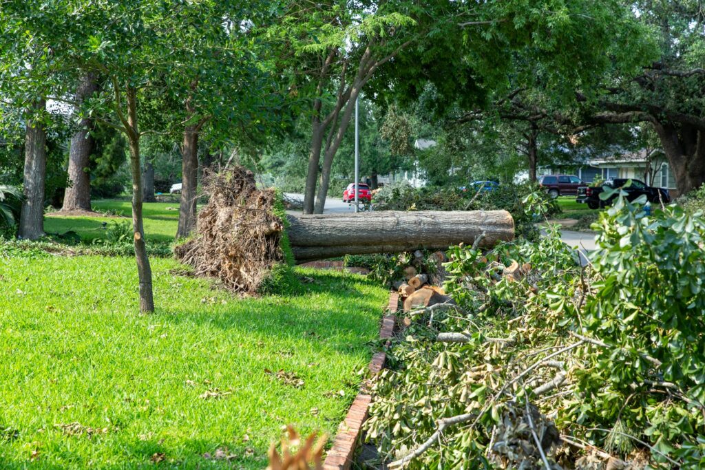 yard waste
